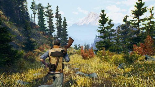 ps4狩猎游戏,探索与挑战的奇幻之旅(图2)
