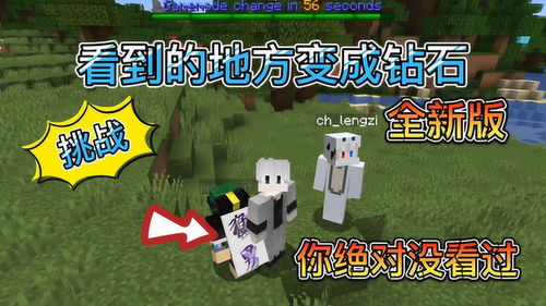 钻石大陆游戏,游戏世界中的财富与冒险之旅(图3)
