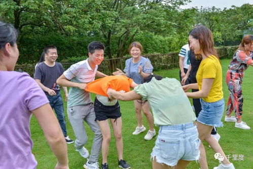 八人团队游戏,协作与挑战的完美融合(图1) 八人团队游戏,协作与挑战的完美融合(图1)