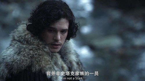 权利游戏琼恩的身世,身世之谜与命运交织(图1) 权利游戏琼恩的身世,身世之谜与命运交织(图1)