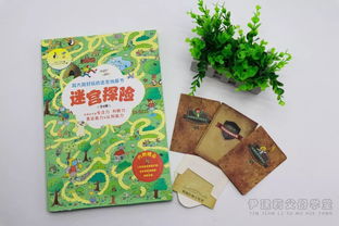 幼儿迷宫游戏规则,幼儿迷宫游戏规则与趣味玩法解析(图1) 幼儿迷宫游戏规则,幼儿迷宫游戏规则与趣味玩法解析(图1)
