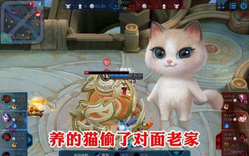 养猫咪游戏,探索养猫游戏的魅力世界(图3) 养猫咪游戏,探索养猫游戏的魅力世界(图3)