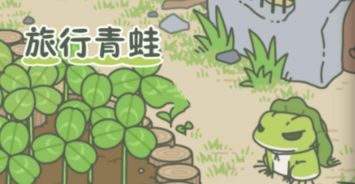青蛙回家游戏,体验佛系养蛙生活(图1) 青蛙回家游戏,体验佛系养蛙生活(图1)