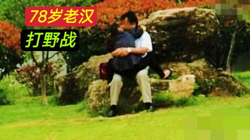 打野战小游戏,从奇趣野战到真实CS的探索之旅”(图1) 打野战小游戏,从奇趣野战到真实CS的探索之旅”(图1)