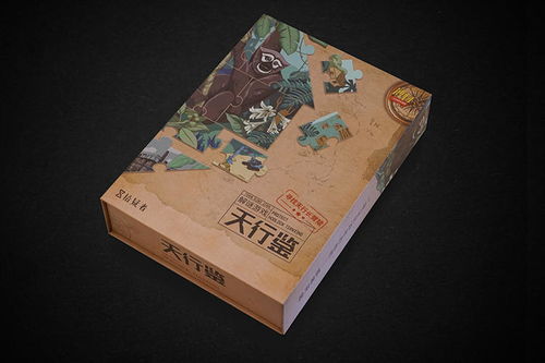 解谜游戏盒子,挑战智慧极限(图3) 解谜游戏盒子,挑战智慧极限(图3)