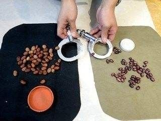 猜豆子游戏,技巧、乐趣与心理策略全解析(图1) 猜豆子游戏,技巧、乐趣与心理策略全解析(图1)