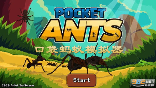 点蚂蚁游戏,蚂蚁游戏中的智慧与团结(图3) 点蚂蚁游戏,蚂蚁游戏中的智慧与团结(图3)