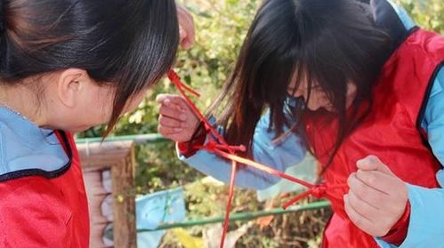 解开千千结游戏(图2) 解开千千结游戏(图2)