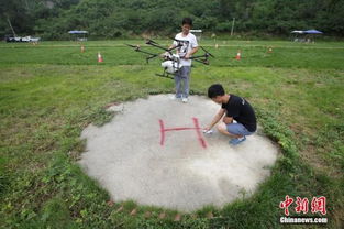 考驾照小游戏,模拟驾驶技能大考验(图1) 考驾照小游戏,模拟驾驶技能大考验(图1)