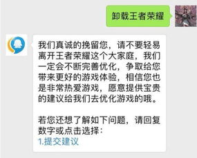 卸载游戏的说说,玩家卸载游戏的心路历程(图3) 卸载游戏的说说,玩家卸载游戏的心路历程(图3)