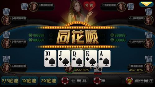 德州扑克游戏技巧,从新手到高手的进阶之路(图2) 德州扑克游戏技巧,从新手到高手的进阶之路(图2)