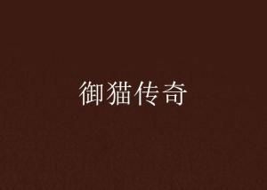 御猫传奇游戏,猫咪养成与战斗策略全解析(图2)