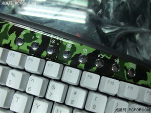 狼爪游戏键盘,创新设计引领游戏外设新潮流(图3) 狼爪游戏键盘,创新设计引领游戏外设新潮流(图3)