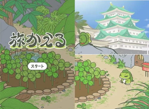 青蛙团队游戏,共筑团队凝聚力(图1) 青蛙团队游戏,共筑团队凝聚力(图1)