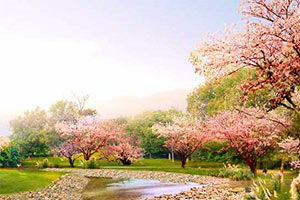 清宫计小游戏,智斗风云(图3) 清宫计小游戏,智斗风云(图3)
