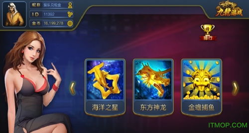 九龙游戏中心,穿越时空的奇幻冒险之旅(图3) 九龙游戏中心,穿越时空的奇幻冒险之旅(图3)