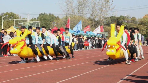 障碍接力游戏,共筑障碍接力巅峰”(图1) 障碍接力游戏,共筑障碍接力巅峰”(图1)