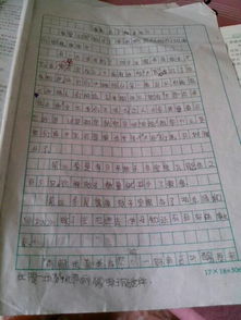 描写游戏的作文300字(图1)