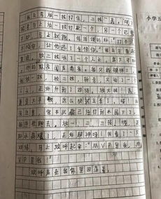 描写游戏的作文300字(图2)