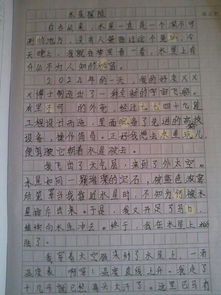 描写游戏的作文300字(图3)
