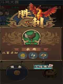 斗鸡游戏玩法,传统民间竞技的魅力与技巧(图3)