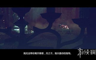 网游之兔子养成游戏,探索网游世界的奇幻冒险(图3) 网游之兔子养成游戏,探索网游世界的奇幻冒险(图3)