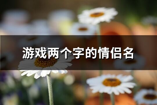 俩字情侣游戏名字(图1) 俩字情侣游戏名字(图1)
