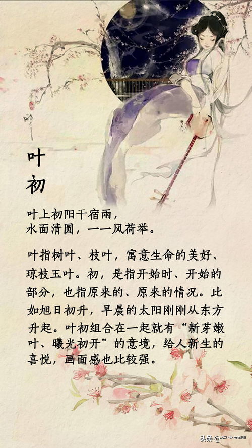宋词游戏名,体验千年风华的词韵之旅(图2)