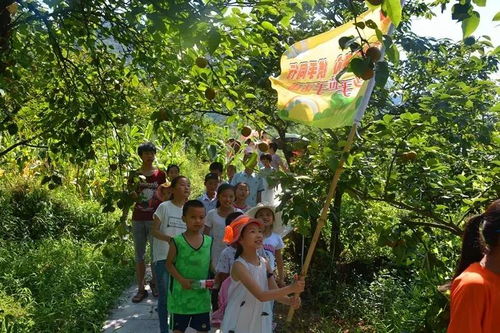 合村游戏,合村并居背景下的游戏攻略解析(图2) 合村游戏,合村并居背景下的游戏攻略解析(图2)
