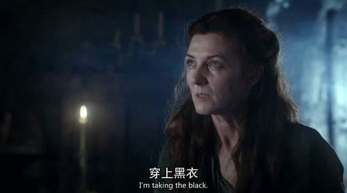 权利游戏演员表,传奇角色与实力派演员的精彩演绎(图3)