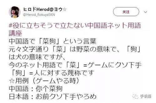 游戏用语日语,游戏用语中的文化之旅(图3)
