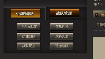 游戏战队统一名字,探寻独特战队名的奥秘(图2)
