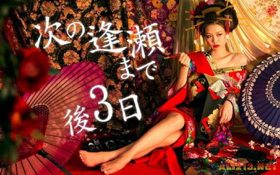 艺伎游戏,探索日本传统文化与互动游戏魅力(图2)