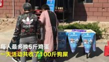 捡狗屎游戏,捡狗屎游戏的欢乐冒险之旅(图2)