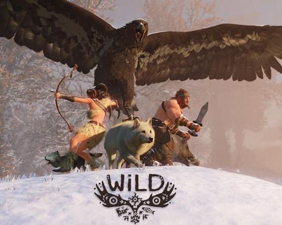 Wild游戏,Wild游戏深度解析(图2)