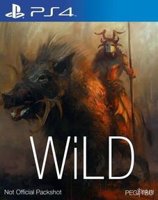 Wild游戏,Wild游戏深度解析(图3)