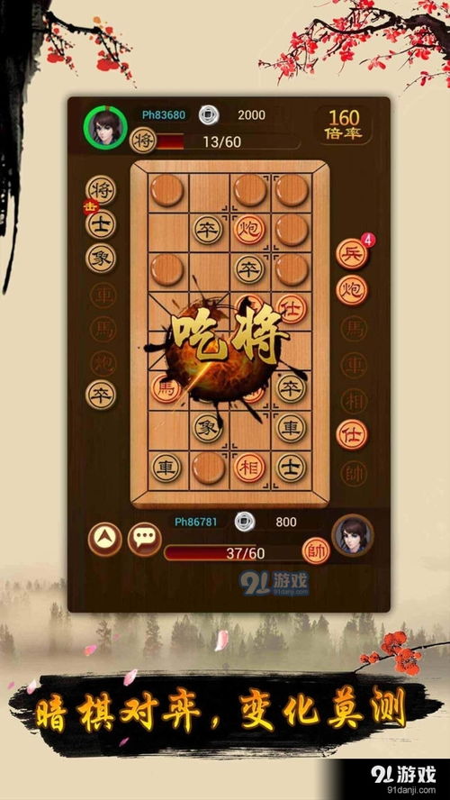 象旗游戏(图2) 象旗游戏(图2)
