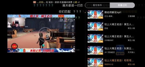 游戏直播定制,揭秘游戏世界里的激情与技巧(图3)
