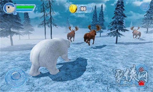 打北极熊游戏,挑战极限的冰雪游戏之旅(图1)