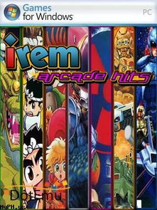 irem游戏,IREM游戏带你踏上奇幻冒险之旅(图2)