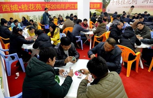 庐江掼蛋网游戏大厅(图1)