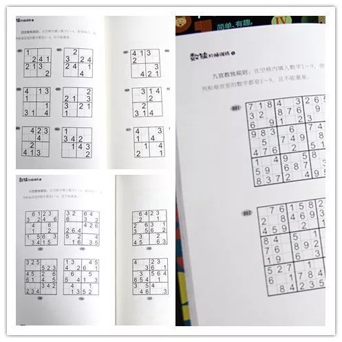 数独游戏书,开启头脑风暴之旅(图2) 数独游戏书,开启头脑风暴之旅(图2)