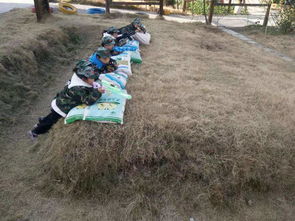 户外野战游戏,体验户外激情之旅(图2) 户外野战游戏,体验户外激情之旅(图2)