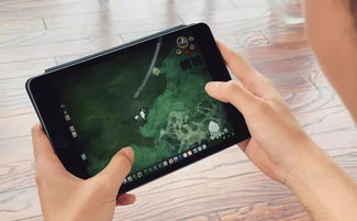 ipad上什么游戏好玩,十大热门趣味游戏推荐(图3) ipad上什么游戏好玩,十大热门趣味游戏推荐(图3)