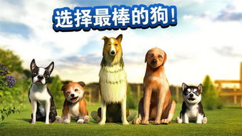 和狗做游戏,与狗狗共度游戏时光(图3) 和狗做游戏,与狗狗共度游戏时光(图3)