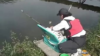 渔我同行游戏,解锁海洋生物奥秘(图2) 渔我同行游戏,解锁海洋生物奥秘(图2)