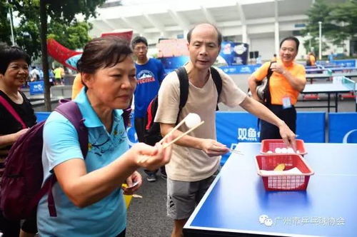 弹乒乓球游戏,弹乒乓球游戏的激情之旅(图2) 弹乒乓球游戏,弹乒乓球游戏的激情之旅(图2)