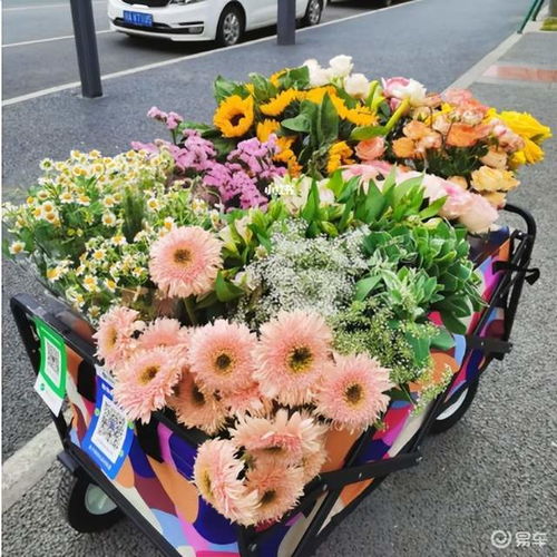 卖花小游戏,卖花小游戏的欢乐冒险之旅(图1) 卖花小游戏,卖花小游戏的欢乐冒险之旅(图1)