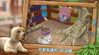 动物寄养游戏,一场温馨的寄养游戏之旅(图2) 动物寄养游戏,一场温馨的寄养游戏之旅(图2)