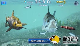游戏垂钓之王,解锁钓鱼新境界(图1) 游戏垂钓之王,解锁钓鱼新境界(图1)